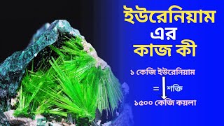 ইউরেনিয়াম প্লেট এর কাজ কী | কিভাবে কাজ করে | Uranium | Rooppur nuclear Fusion | ANews6243.