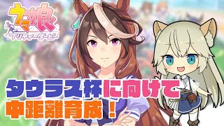 タウラス杯に向けて中距離育成【ウマ娘プリティーダービー/UMAMUSUME Pretty Derby】【VTuber #獅堂リオ】