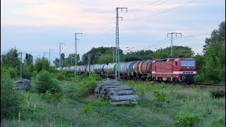 Exotischer Bahnverkehr um Berlin #2 - mit 243, 142, 151, V300 uvm.