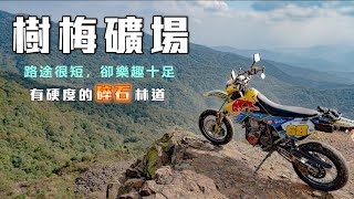 《探險》樹梅礦場｜不同程度的林道挑戰｜燦光寮 #drz400 #wr450f