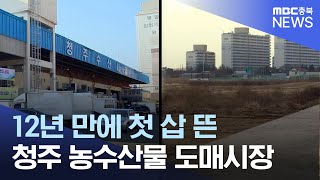 '상생안 12년 만에' 도매시장 첫 삽