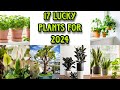 BEST LUCKY RARE PLANTS FOR 2024 | FENG SHUI PLANTS FOR 2024 | LUCKY PLANTS FOR HOME & WORK