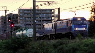 ﾌﾞﾙｰｻﾝﾀﾞｰEH200-21牽引高速貨物2088ﾚ酒田→東京【4K】