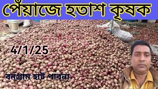 4 January 2025 আজকের পেঁয়াজের বাজার দর।onion market price today পেঁয়াজের বাজার। গ্রামের হাট বাজার