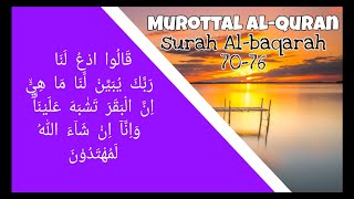 murottal Al-quran surah Al-baqarah 70-76