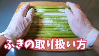 ふきの下処理、ゆで方、保存方法、食べ方