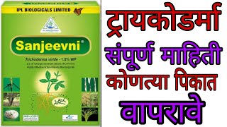 ट्रायकोडर्मा संपूर्ण माहिती, ट्रायकोडर्मा मल्टिप्लाय कसा करावा Trichoderma Use In Agriculture #Trico