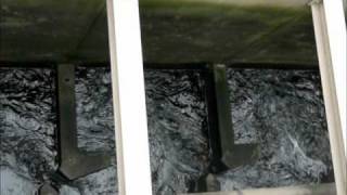 Vertical slot fish pass