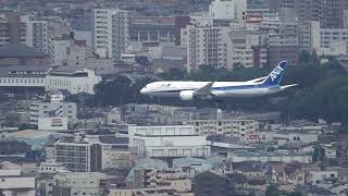 伊丹空港14運用　ANA B787着陸