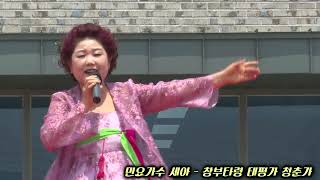 민요가수 세아   창부타령 태평가 청춘가 - 제1회 효문화 한마당대축제