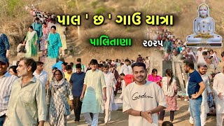 Paal 6 Gauv Yatra Palitana | પાલ ૬ ગૌવ યાત્રા પાલિતાણા | Jain Trith Yatra Palitana | Palitana | 2025