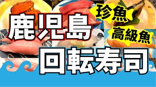 【回転寿司】鹿児島の珍魚が食べられる！県民おすすめのお寿司屋さん【めっけもん】＠鹿児島中央駅