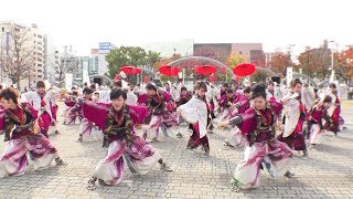 「 百華夢想 」四日市よさこい やったろ舞2017【市民公園会場】