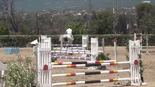 Nikos Drougas + Grey Capitol, Class: 1.05m, 8os agwnas YE @ ΙΟΒΟΠ 19-06-2022