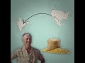 norman borlaug the father of the green revolution heroes of progress ep. 1