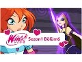 Winx Club - Sezon 1 Bölüm 6 - Sihirli Arşivin Şifresi