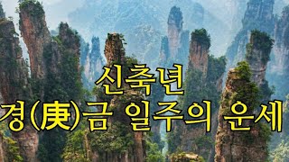 신축년 경(庚)금 일주 운세