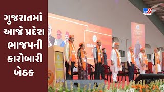 Gujarat માં આજે પ્રદેશ ભાજપ કારોબારીની બેઠક, લોકસભા ચૂંટણીની રણનીતિ પર કવાયત | TV9News