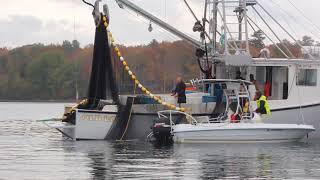 "Old Lady" Pogie Seining Penobscot Bay October 2020