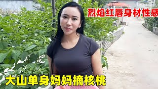 大山帮单身妈妈摘核桃，烈焰红唇身材性感，实在让人敬佩！【大超走四方】