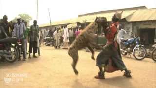 African Hyena Attacks Man On Street Caught On Camera \u0026 Explained