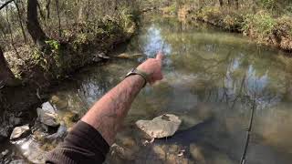 Arkansas Creek Exploration! (Brand New Creek Pt. 1)