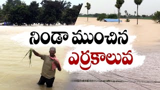 ఎర్రకాలువకు వరద ఉద్ధృతి | Heavy Water Inflow Red Canal | Eluru District