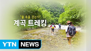 폭염에 강추 '계곡 트레킹'...어디가 좋을까? / YTN (Yes! Top News)