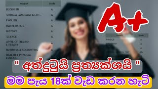 මම පැය 18ක් පාඩම් කරන හැටි | How I Study For 18 Hours | Study Tricks