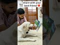 who is your best friend❓ viral trending shorts shortvideo labradoor dog doglover