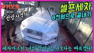 셀프세차 처음해보았다 8천원 [워시존] Self car wash 벨로스터N+셀토스