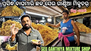 Seu Ganthiya Mixtur Baghamari Chhaka Dist-Khordha Odisha|| ପ୍ରସିଦ୍ଧ ବାଘମାରି ଛକ ସେଉ ଗାଣ୍ଠିଆ ମିକ୍ସଚର୍