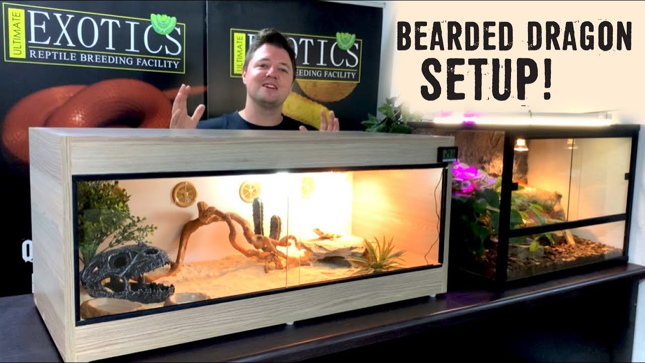 How To Build A 120 Gallon Bearded Dragon Tank - Kobo Building