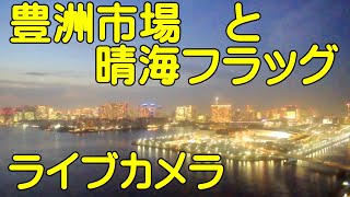 豊洲市場　と　築地大橋　ちょっとだけ　スカイツリー【ちんあなご】