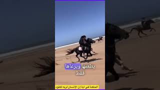 الحكمة في أية إن الإنسان لربه لكنود #shortsfeed #daysoftheyear #shortsvideo #shortsviral #shorts