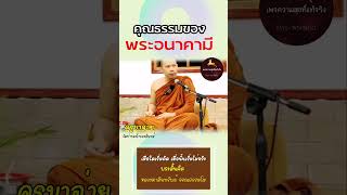 คุณธรรมของพระอนาคามี #ครูบาฉ่าย #พระสิ้นคิด #พระกรรมฐาน #หลวงตาสินทรัพย์ #ธรรมะ #พระอนาคามี