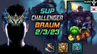 브라움 서폿 템트리 룬 태양의 썰매 수호자 -  Braum Support - 롤 KR 챌린저 패치 14.24