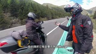 摩旅路上捡到一只被撞的小鸟，带走合适吗？你们怎么看