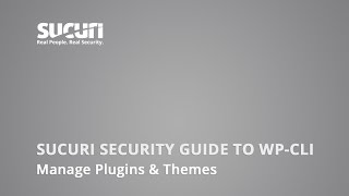 WordPress CLI (WP-CLI): How to Manage Plugins & Themes