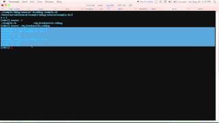 How to save ruby-debug breakpoints and display expressions