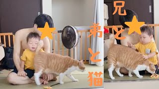 【年の差兄弟】19歳改め20歳の兄と1歳の弟。猫をヨシヨシする弟。