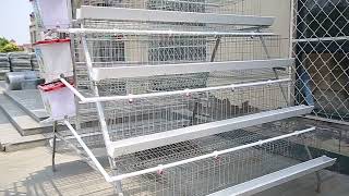 4 tiers 128 birds poultry layer hens cage for farm