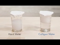 Culligan Home Water Testing: The Soap Test