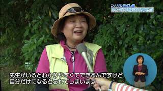 マイシティとくしま平成30年6月24日放送「ウォーキングをはじめてみませんか」