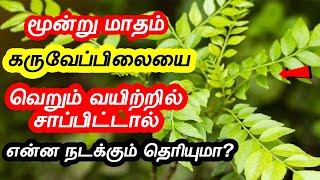 வெறும் வயிற்றில் கருவேப்பிலை சாப்பிடுவதால் ஏற்படும் நன்மைகள் | curry leaves in tamil | health tips