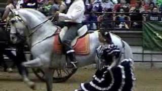 2010 Midwest horsefair Andalusian and Lusitano