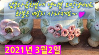 21년3월2일(감동다육화분 주문전화 : 010-8908-2503)  다양한 예쁜화분들의 매력을 느껴보세요~^^ #감동다육화#다육화분#수제화분