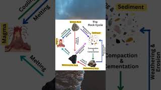 what is Rock cycle #geology #fact