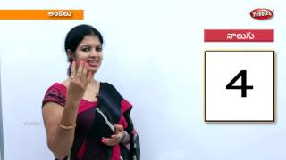 Learn Telugu Numbers | Preschool Learning Videos | Kids Educational Videos | Toddlers Learning