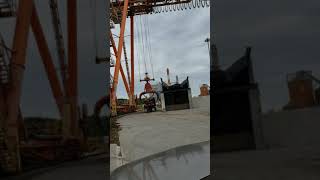 Woodyard crane